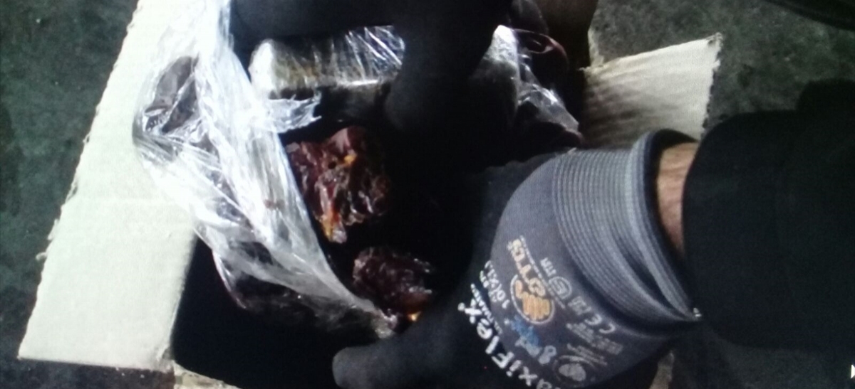 EROİNİ HURMALARIN ARASINA SAKLAMIŞLAR