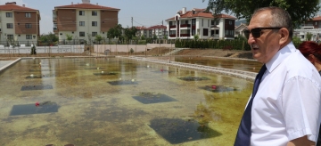 BOLU NİLÜFER ÜRETİM MERKEZİ OLUYOR