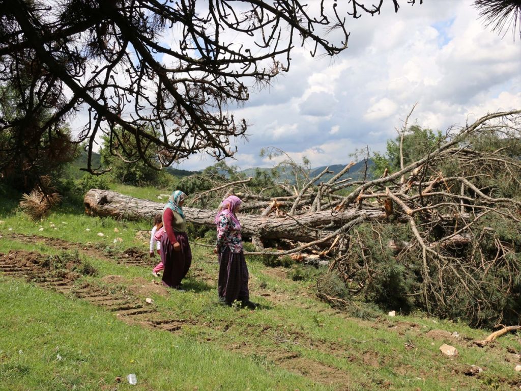 ORMANLARIMIZA DOKUNMAYIN!