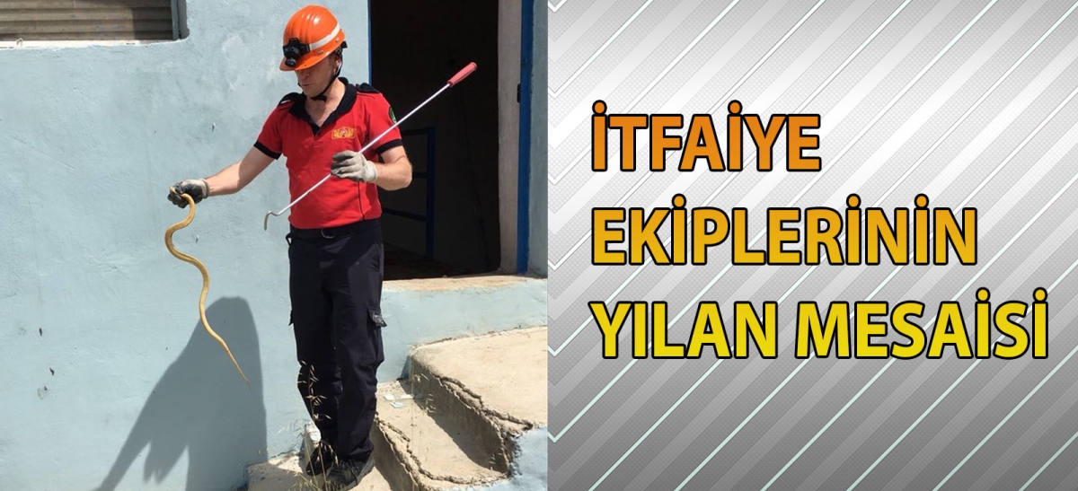 İtfaiye ekiplerinin yılan mesaisi
