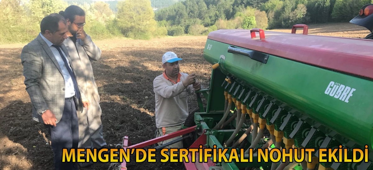 Mengen'de sertifikalı nohut ekildi