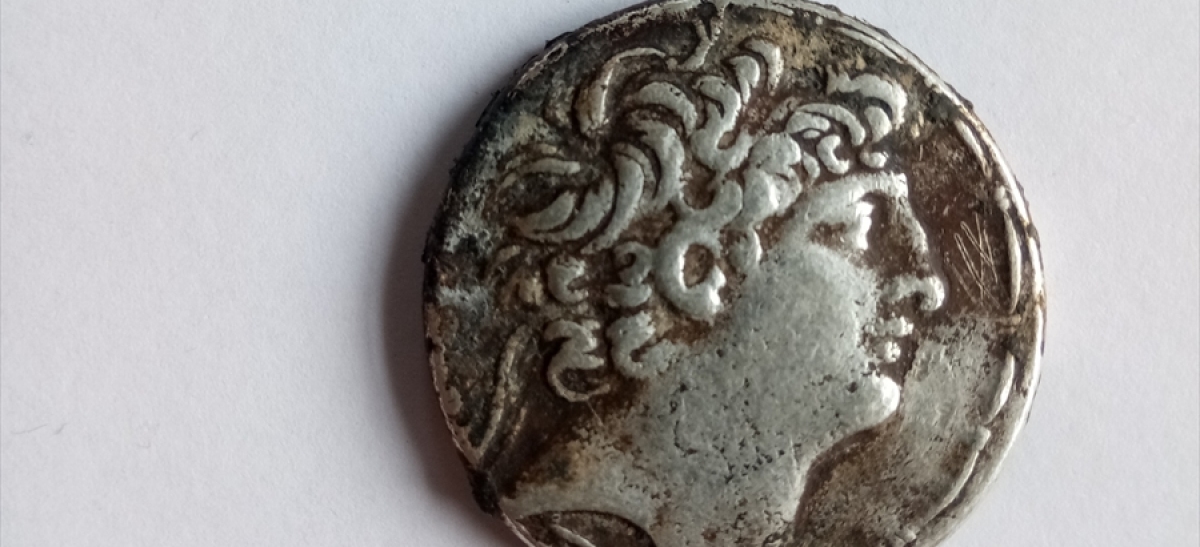 Tarihi sikkelerle yakalandılar