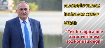 Alaaddin Yılmaz iddialara cevap verdi: "Tek bir ağaca bile zarar verilmesi söz konusu değil"