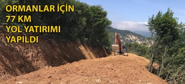 Ormanlar için 77 kilometre yol yatırımı yapıldı
