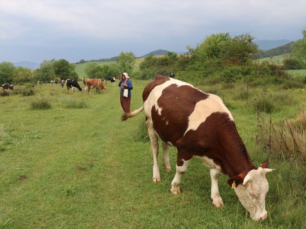 Bolu'da yıldırım düştü: 1 ölü