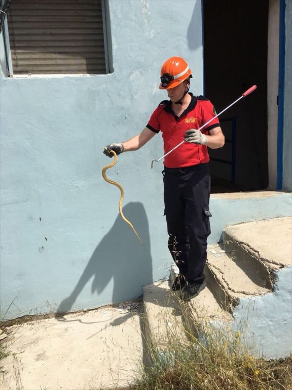 İtfaiye ekiplerinin yılan mesaisi