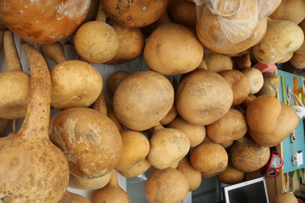 Ordulu ikiz kardeşler su kabağını sanata çeviriyor