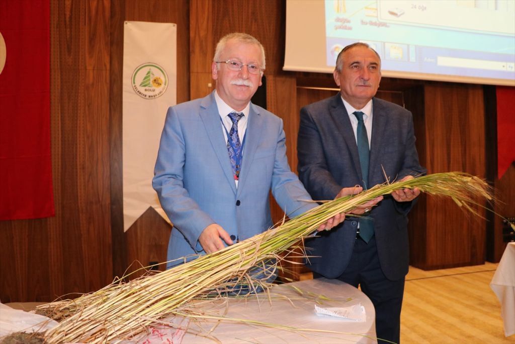 SAĞLIĞINIZ İÇİN IZA BUĞDAYI