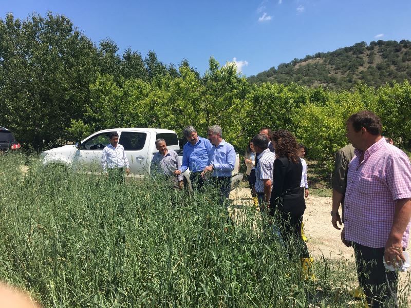 VALİ BARUŞ'TAN AFETZEDELERE ZİYARET