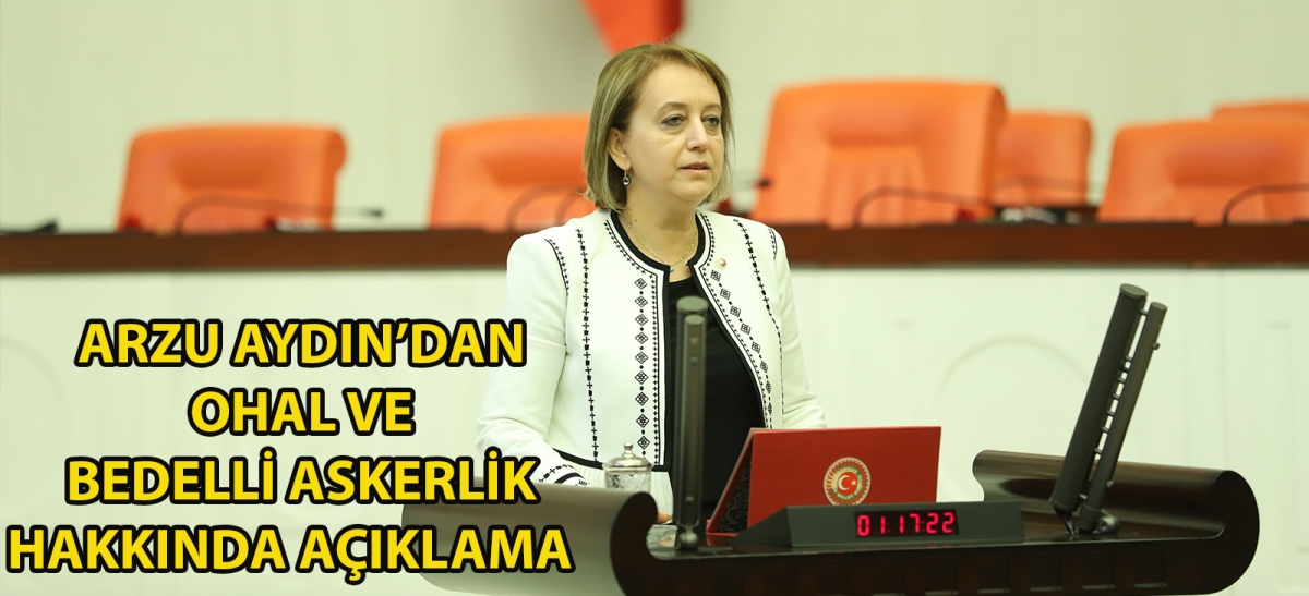 Arzu Aydın'dan Ohal ve Bedelli Askerlik Açıklaması