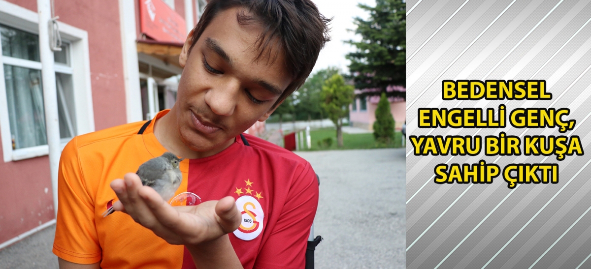 Bedensel engelli genç, yavru bir kuşa sahip çıktı