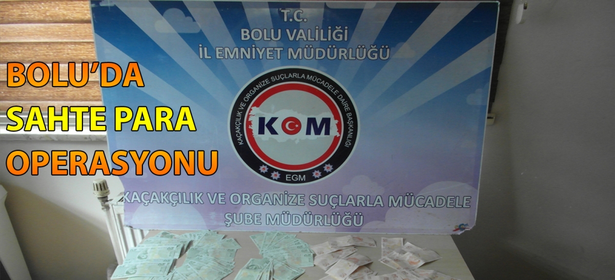 Bolu'da sahte para operasyonu