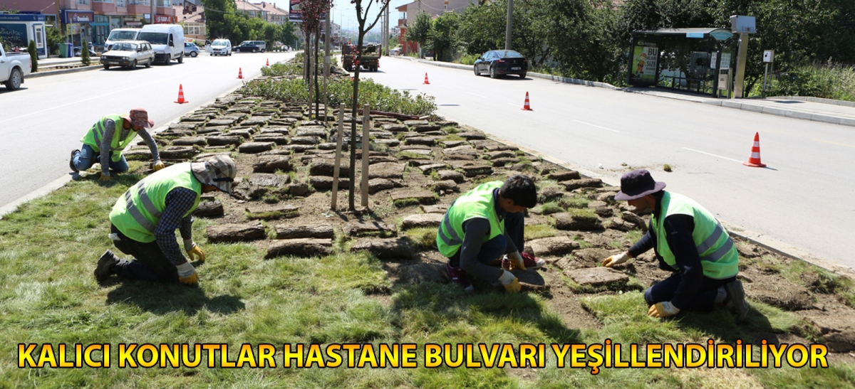 Kalıcı Konutlar Hastane Bulvarı yeşillendiriliyor
