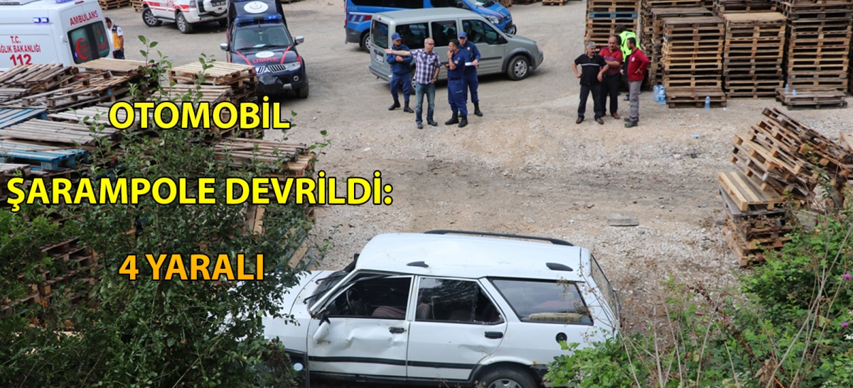Otomobil şarampole devrildi: 4 yaralı