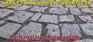 ABANT'TA İNANILMAZ GÖRÜNTÜLER