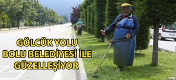 Gölcük yolu Bolu Belediyesi ile güzelleşiyor