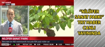 ‘Nilüfer Sanat Parkı' TRT Haber canlı yayınında