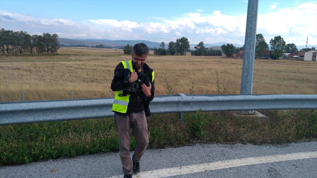 Beton blokların altına sıkışan yavru köpekleri AFAD kurtardı