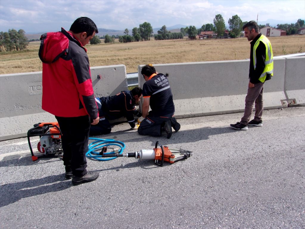 Beton blokların altına sıkışan yavru köpekleri AFAD kurtardı