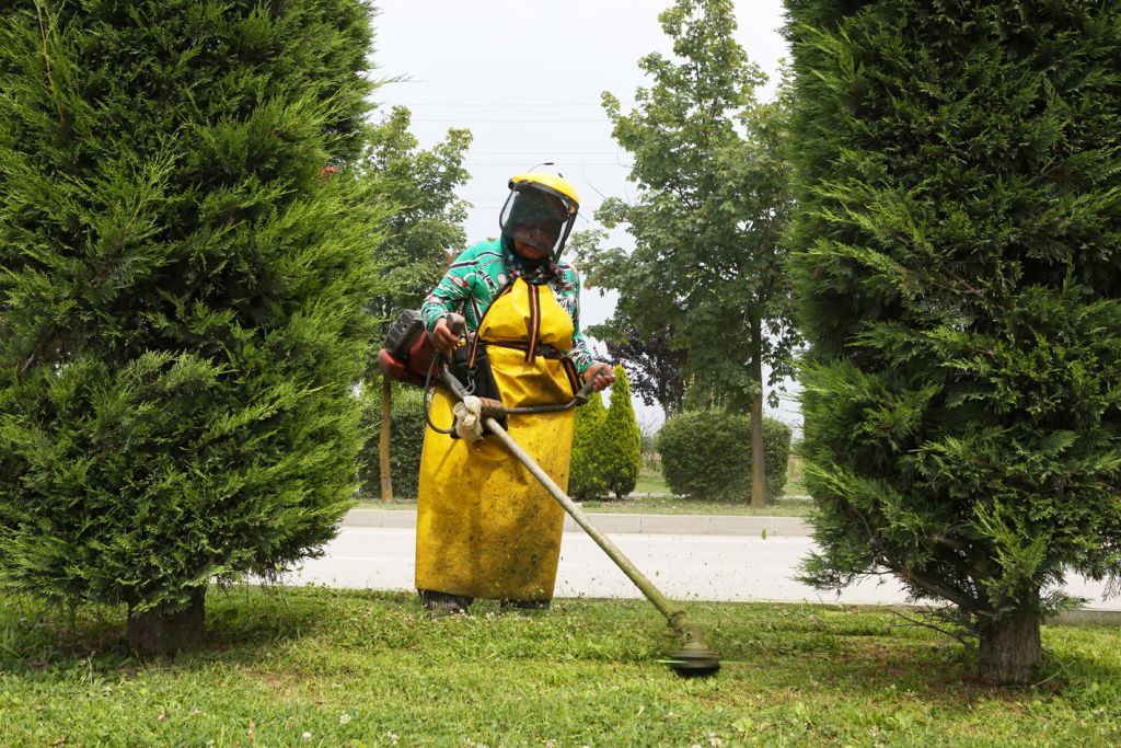 Gölcük yolu Bolu Belediyesi ile güzelleşiyor