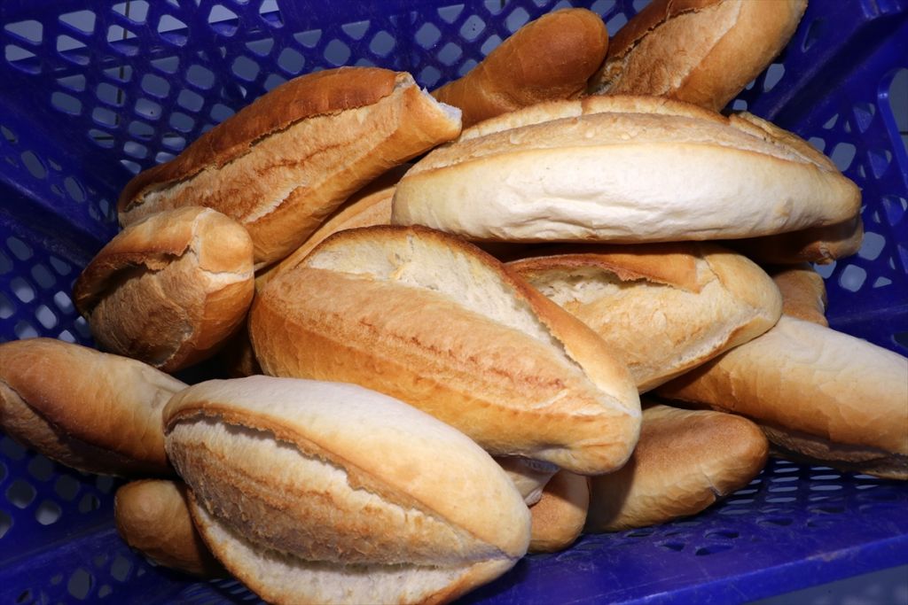 ICC Başkanı Prof. Dr. Hamit Köksel: 