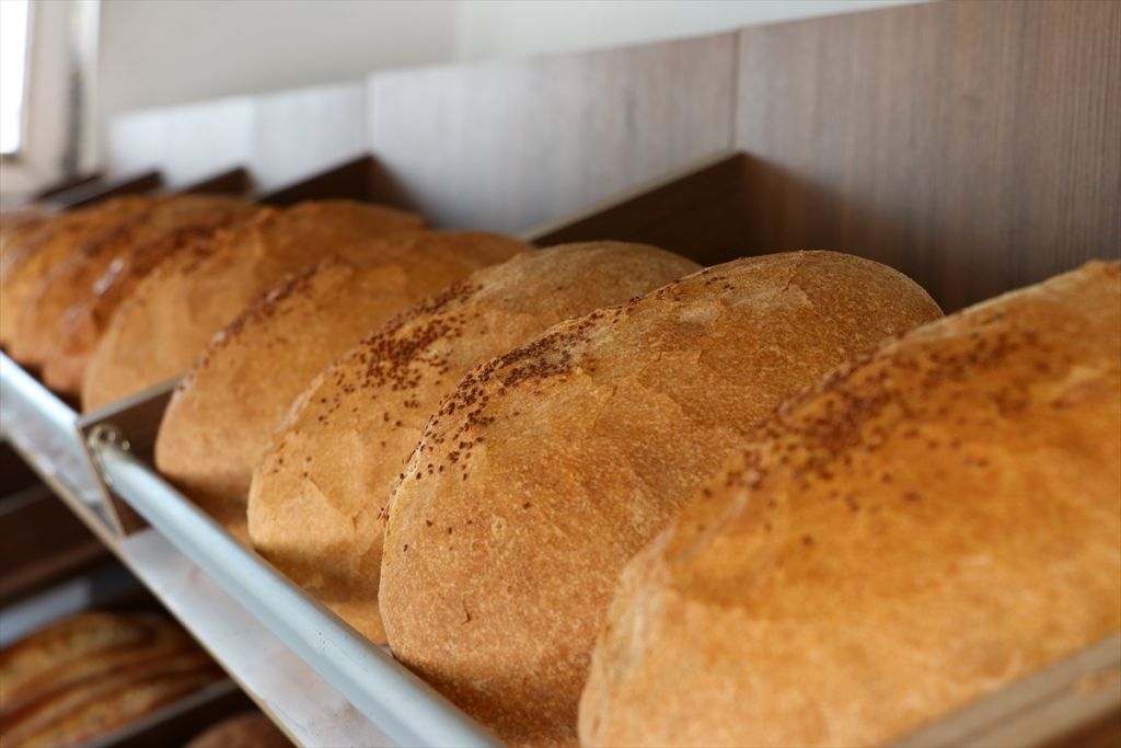 ICC Başkanı Prof. Dr. Hamit Köksel: 