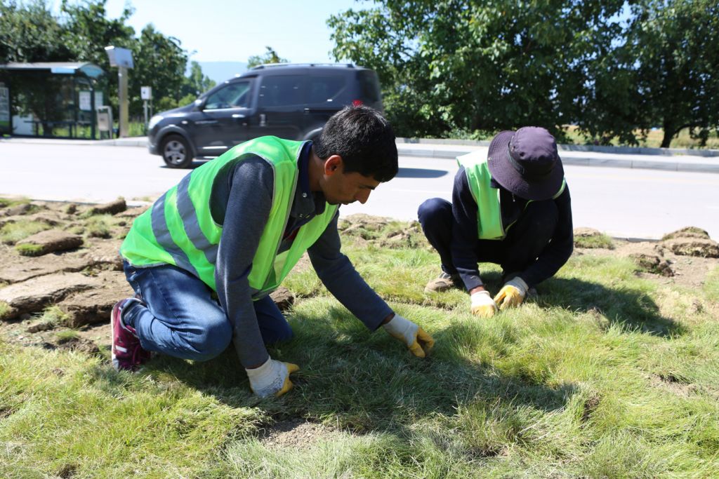 Kalıcı Konutlar Hastane Bulvarı yeşillendiriliyor