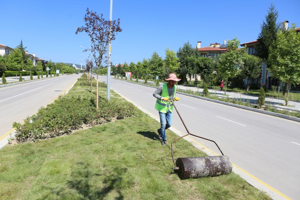 Kalıcı Konutlar Hastane Bulvarı yeşillendiriliyor