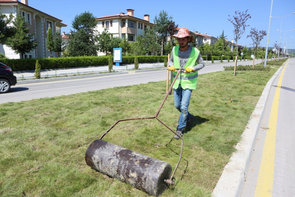 Kalıcı Konutlar Hastane Bulvarı yeşillendiriliyor