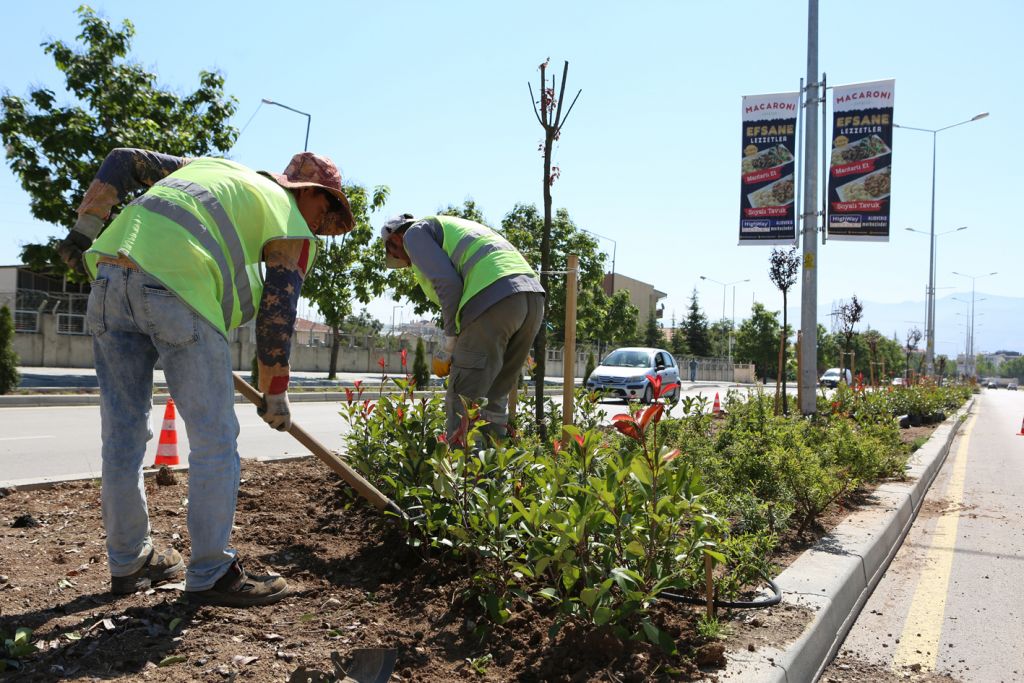 Kalıcı Konutlar Hastane Bulvarı yeşillendiriliyor
