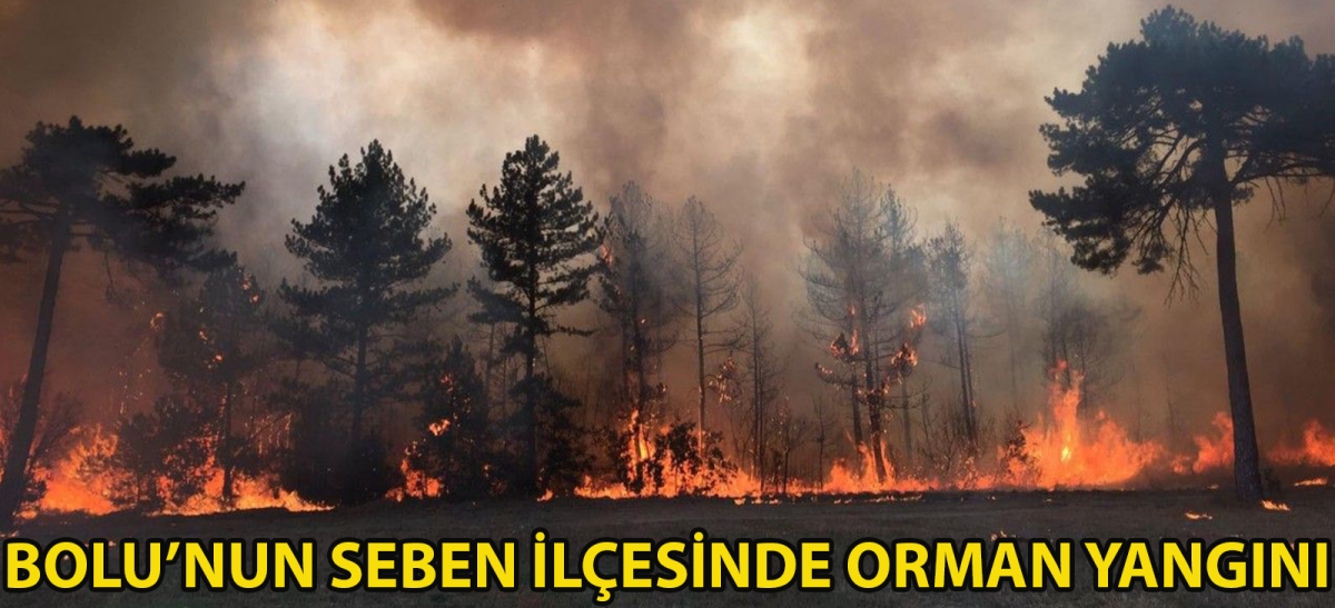Bolu'nun Seben ilçesinde orman yangını
