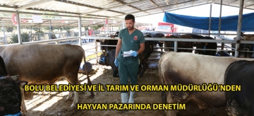 Bolu Belediyesi ve İl Tarım ve Orman Müdürlüğü'nden hayvan pazarında denetim