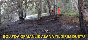 Bolu'da ormanlık alana yıldırım düştü