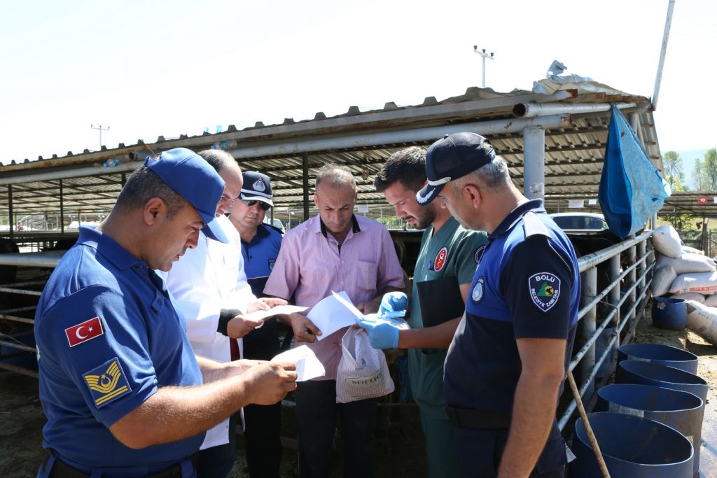 Bolu Belediyesi ve İl Tarım ve Orman Müdürlüğü'nden hayvan pazarında denetim