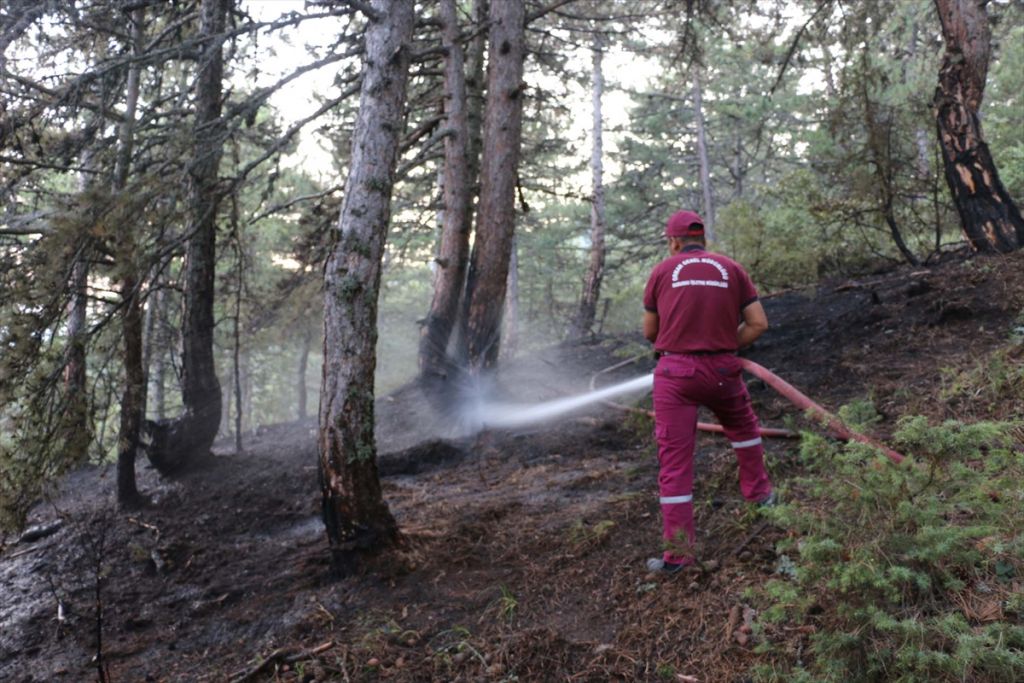 Bolu'da ormanlık alana yıldırım düştü