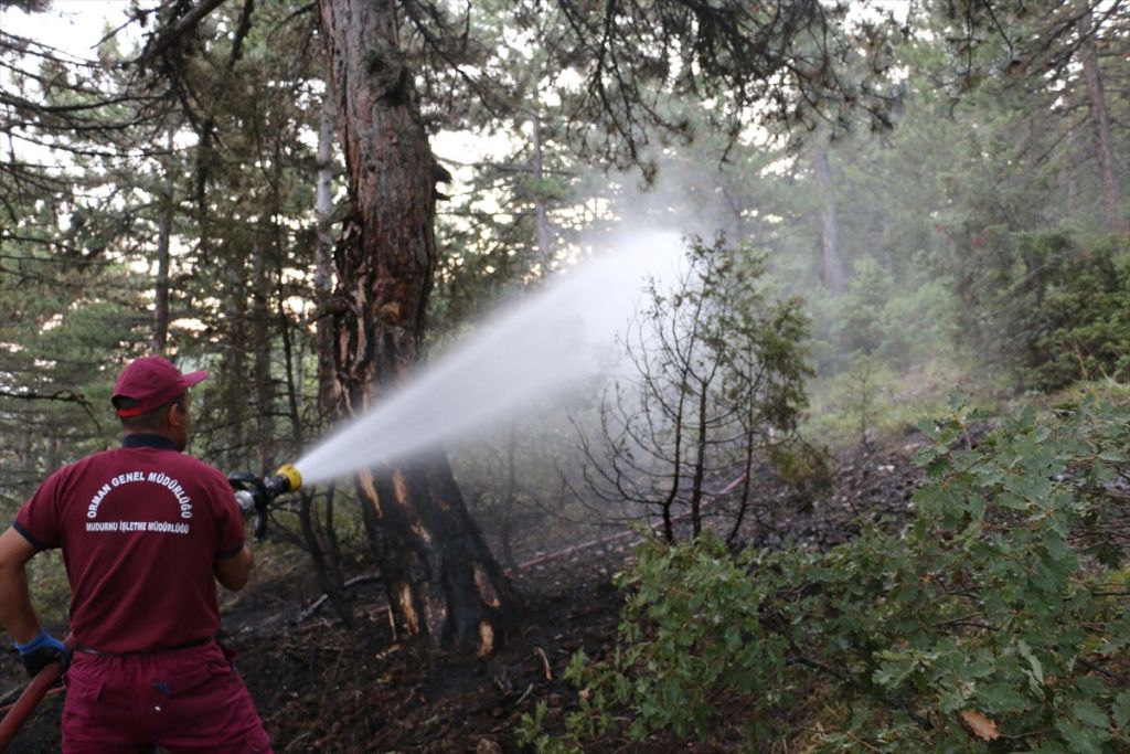Bolu'da ormanlık alana yıldırım düştü
