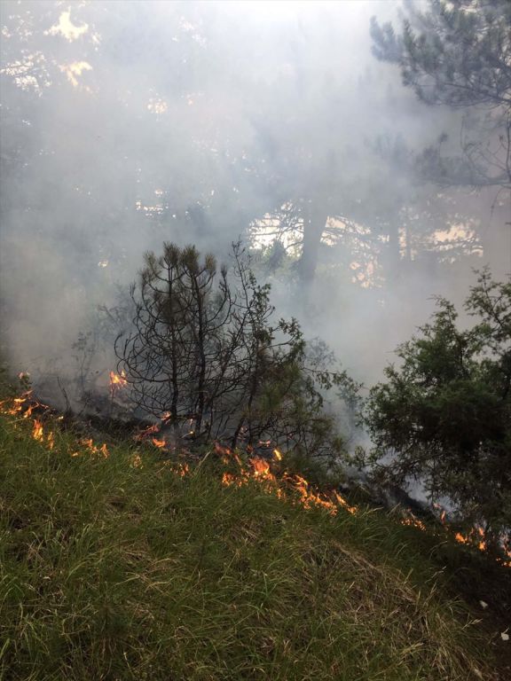 Bolu'da ormanlık alana yıldırım düştü