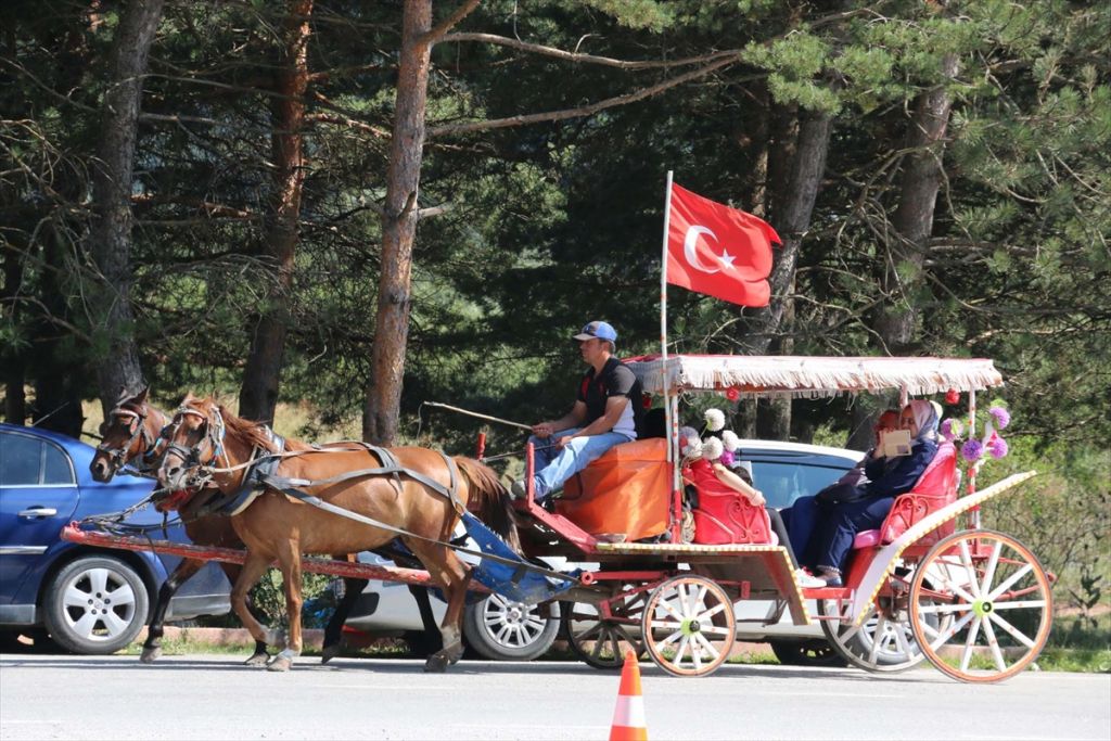 Bolu'daki tabiat parklarında ziyaretçi yoğunluğu