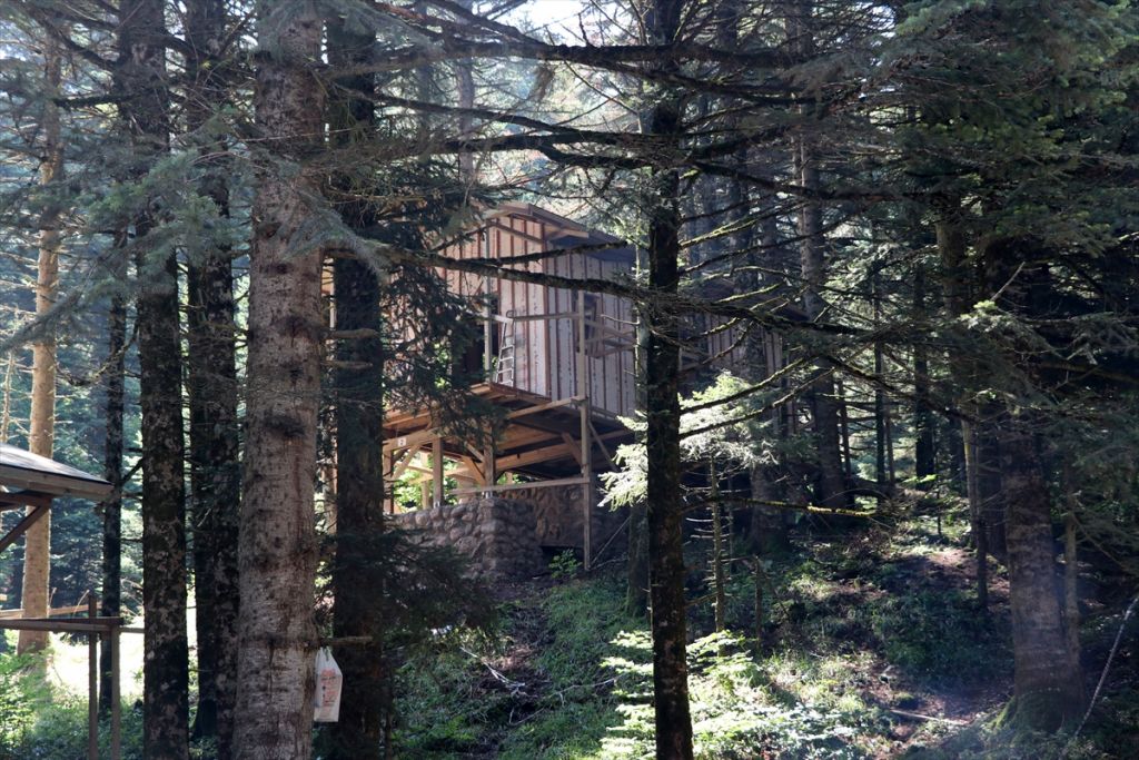 Gölcük Tabiat Parkı'na orman köşkleri yapılıyor