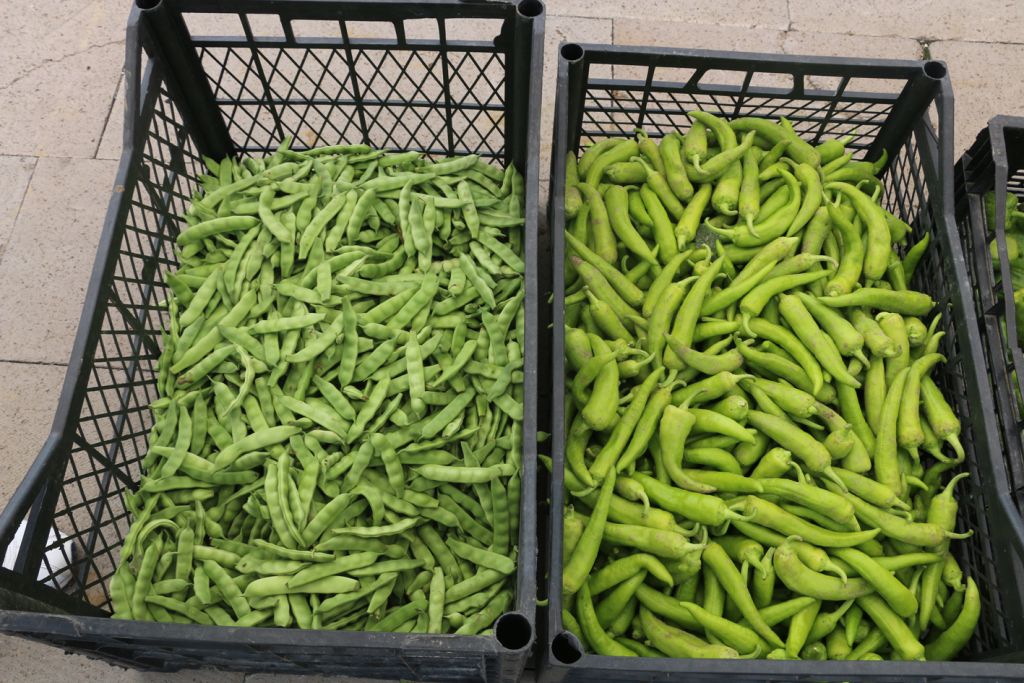 "İyi Tarım" ürünleri açılan stantta satışa çıktı