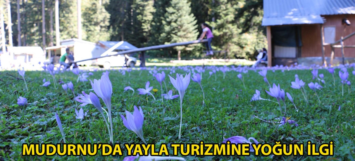 Mudurnu'da yayla turizmine yoğun ilgi