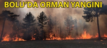 Bolu'da orman yangını
