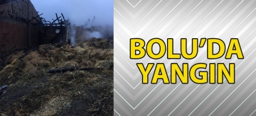 Bolu'da yangın