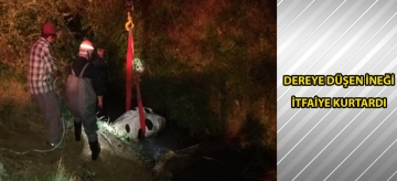 Dereye düşen ineği itfaiye kurtardı