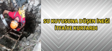Su kuyusuna düşen ineği itfaiye kurtardı