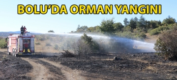 Bolu'da orman yangını