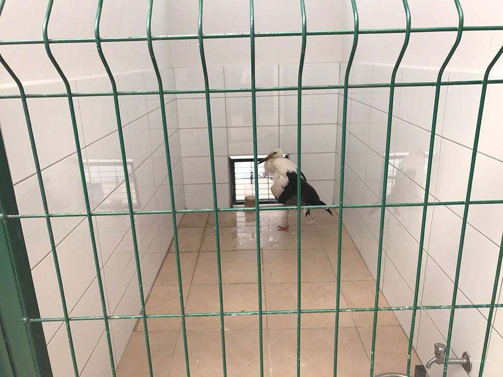 BAŞKAN YILMAZ BASIN MENSUPLARINA PROJELERİNİ ANLATTI