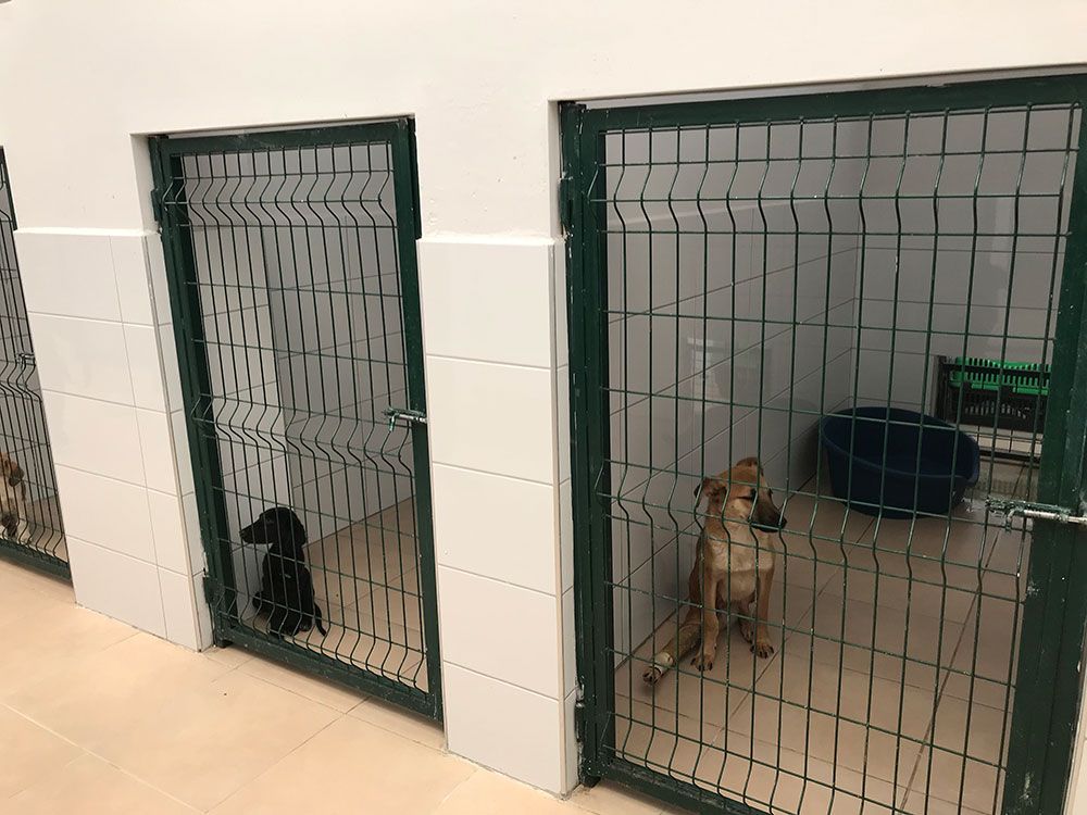 BAŞKAN YILMAZ BASIN MENSUPLARINA PROJELERİNİ ANLATTI