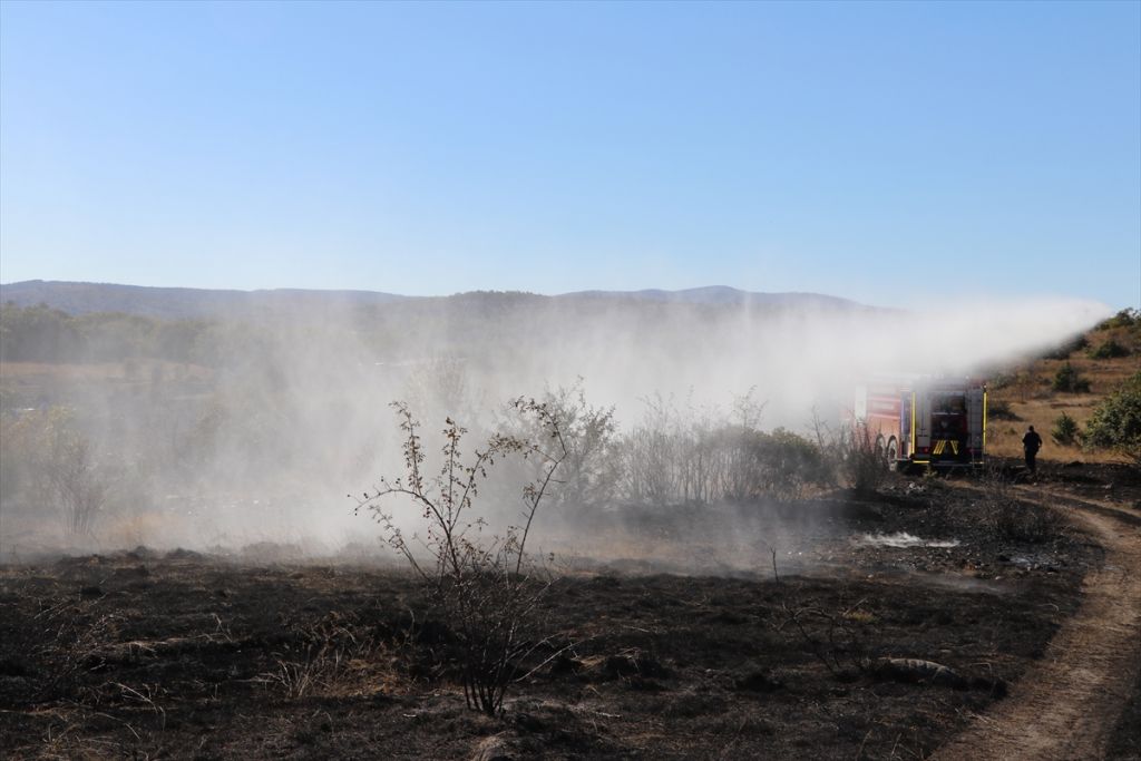 Bolu'da orman yangını