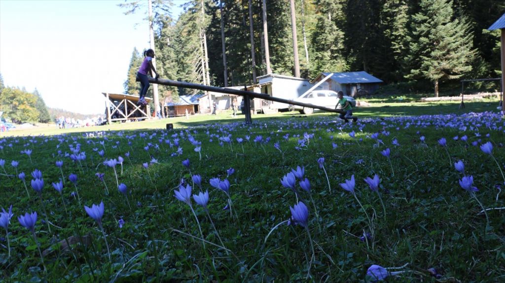 Mudurnu'da yayla turizmine yoğun ilgi